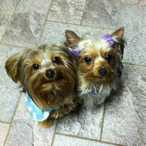 Meet your Posher, Banjul